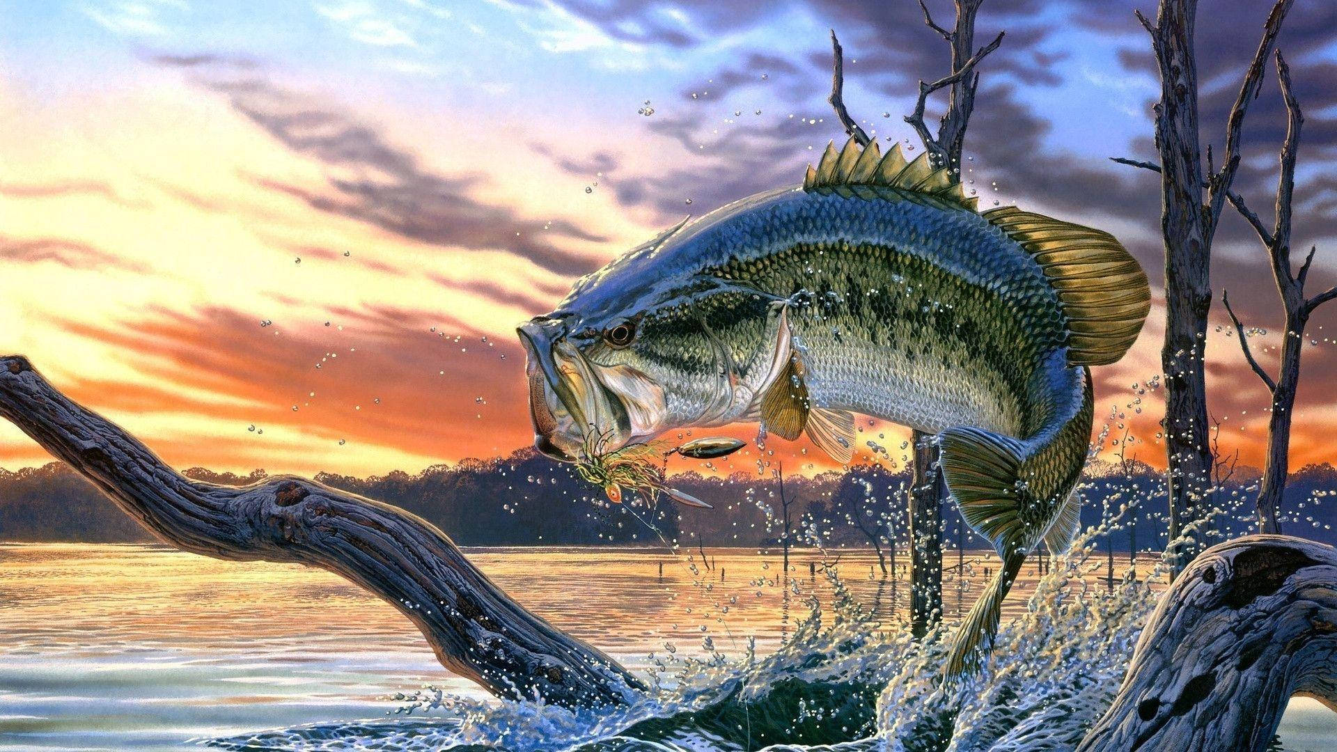 Enjoying the morning light, a largemouth bass swims through its lake habitat Wallpaper