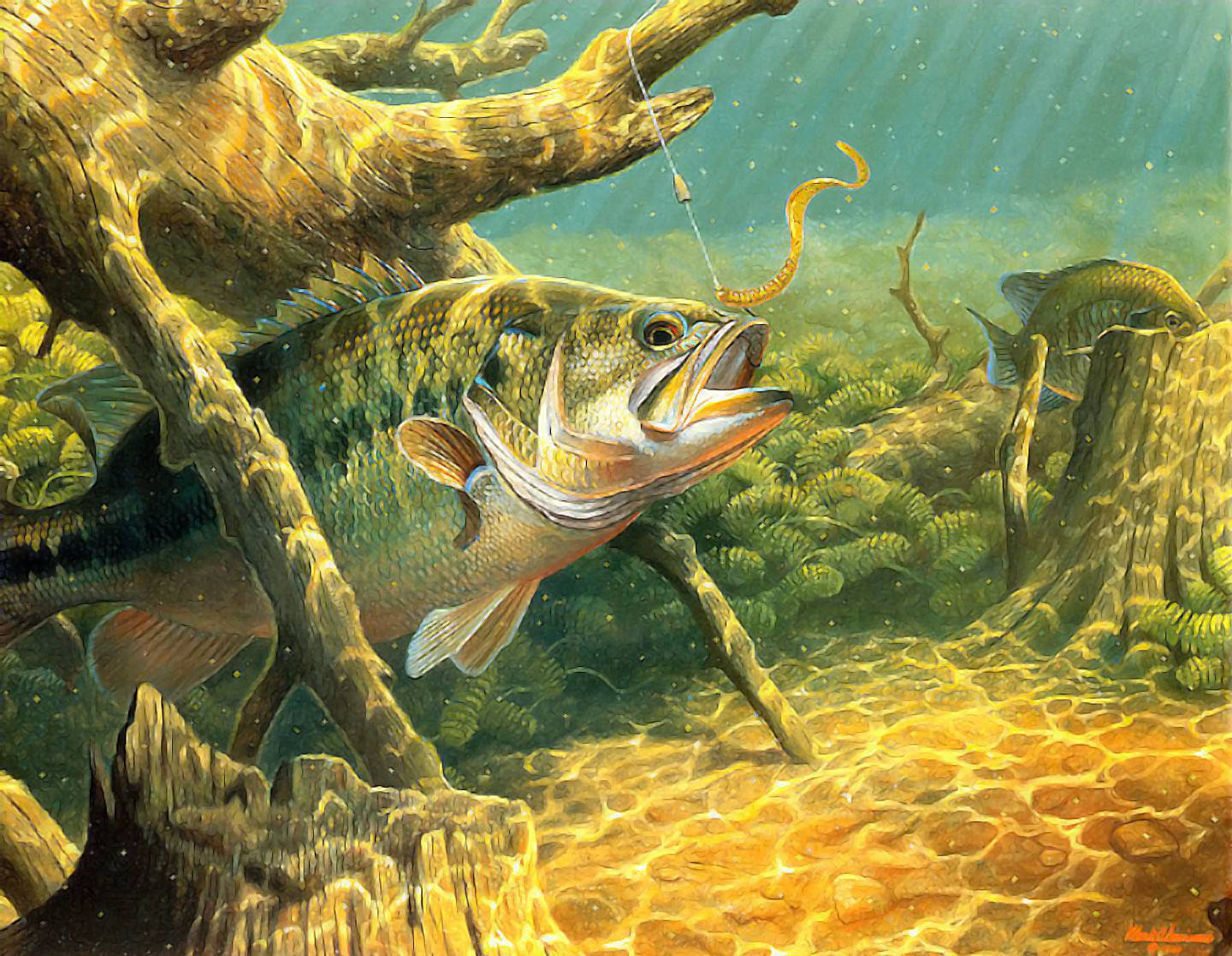 Largemouth Bass Catching Its Prey Wallpaper