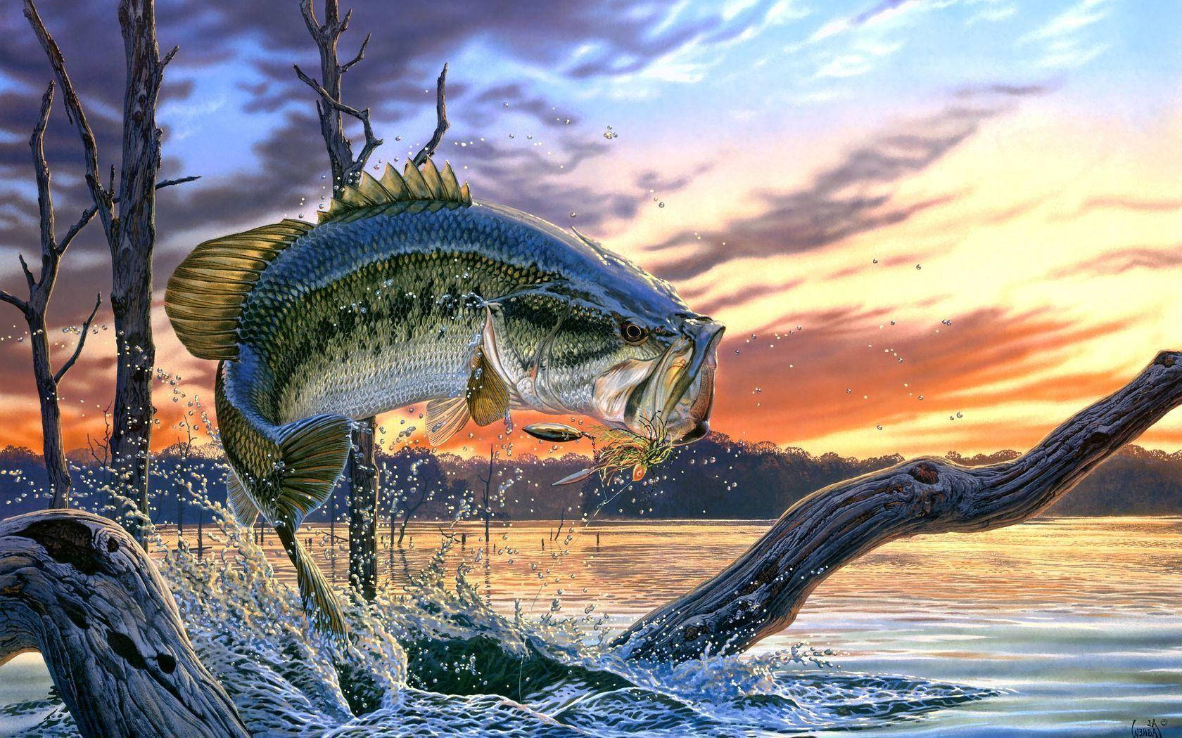 Fresh Catch: A Healthy Largemouth Bass Wallpaper