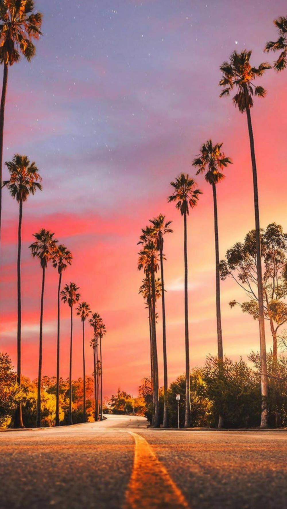 Las Vegas Iphone Palm Tree Sunset Wallpaper