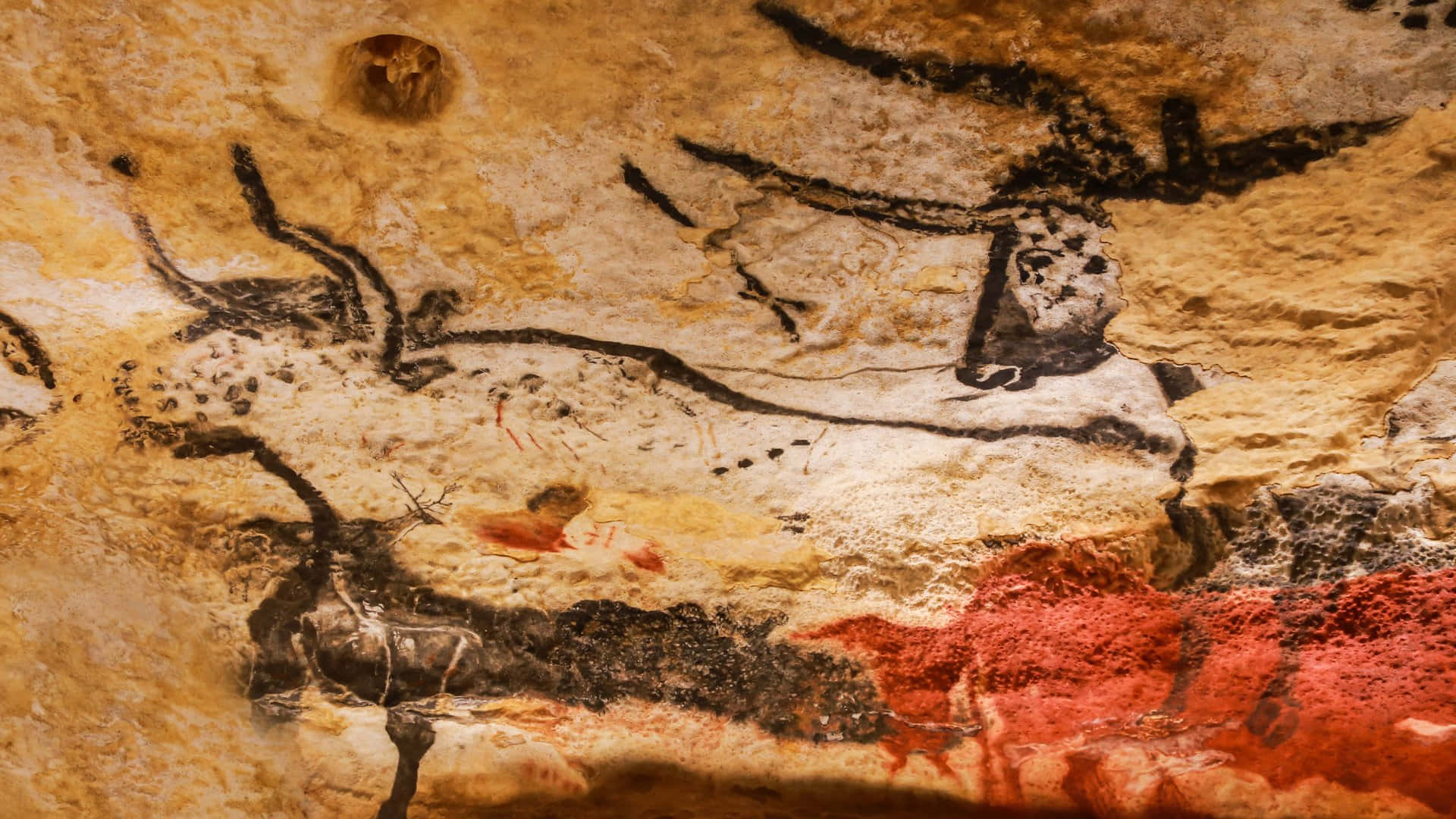 Awe-inspiring Ancient Art of the Lascaux Caves Wallpaper