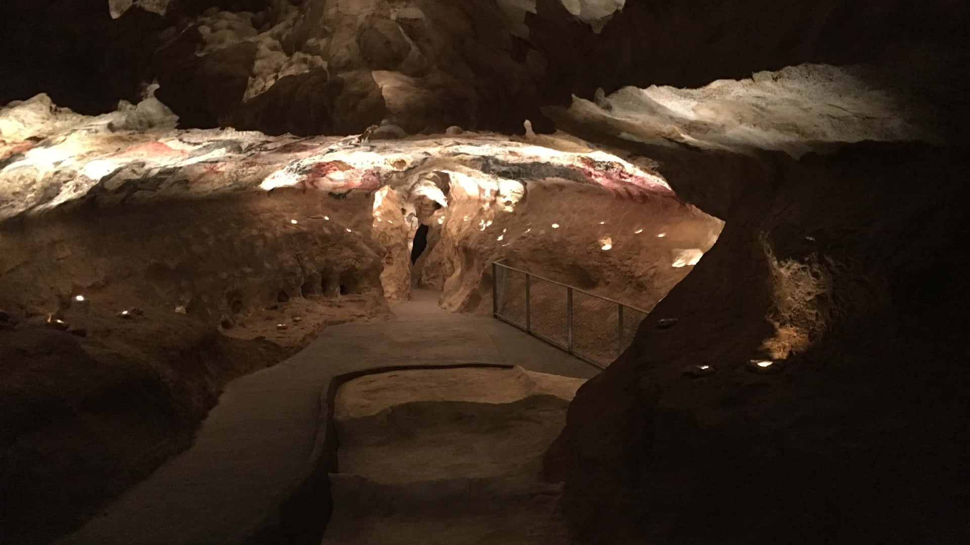 Prehistoric Brilliance Captured on Lascaux Caves Wall Wallpaper