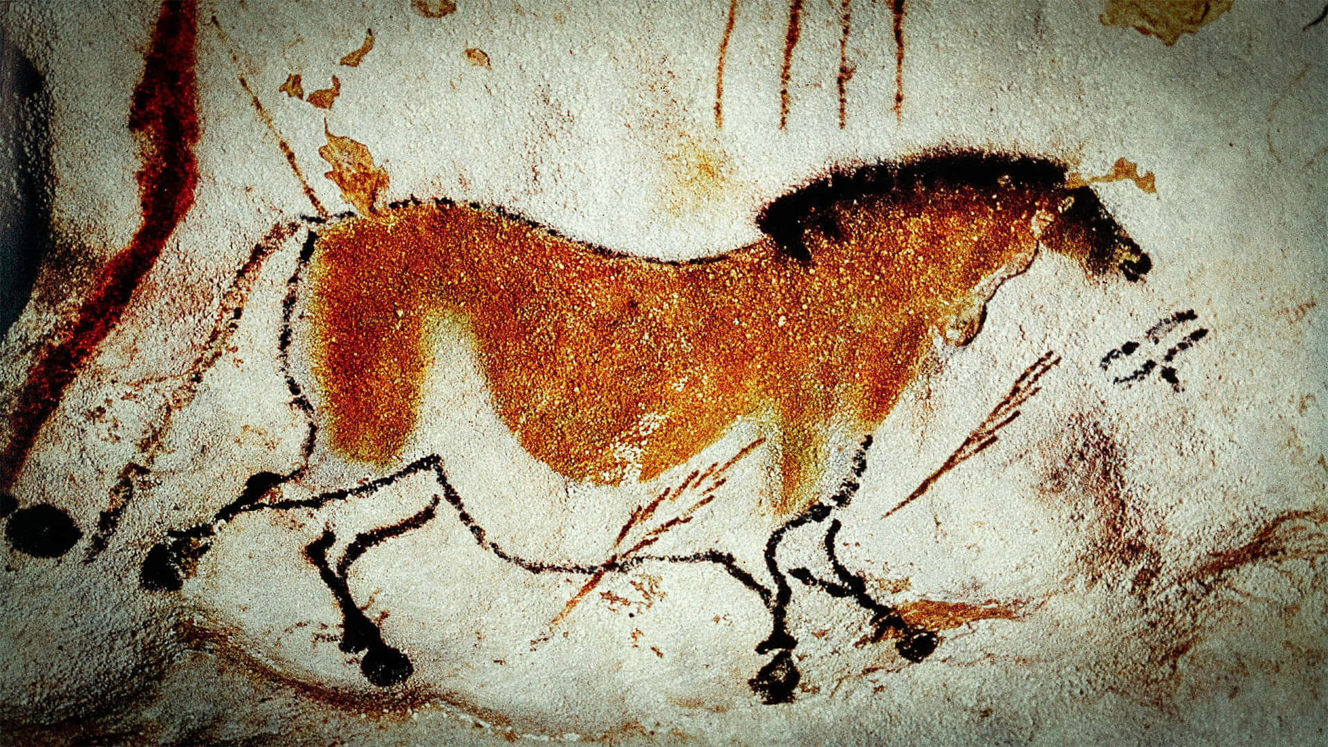 Caption: Ancient Artistry at Lascaux Caves Wallpaper