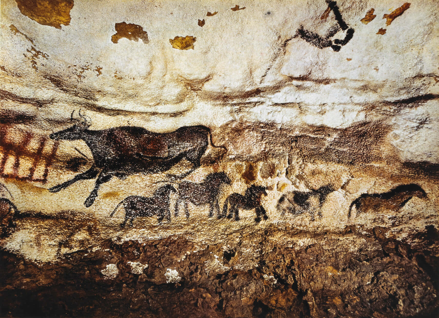 Majestic Wall Paintings Inside Lascaux Caves Wallpaper