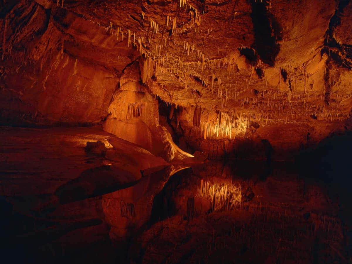 Lascaux Caves Wallpaper