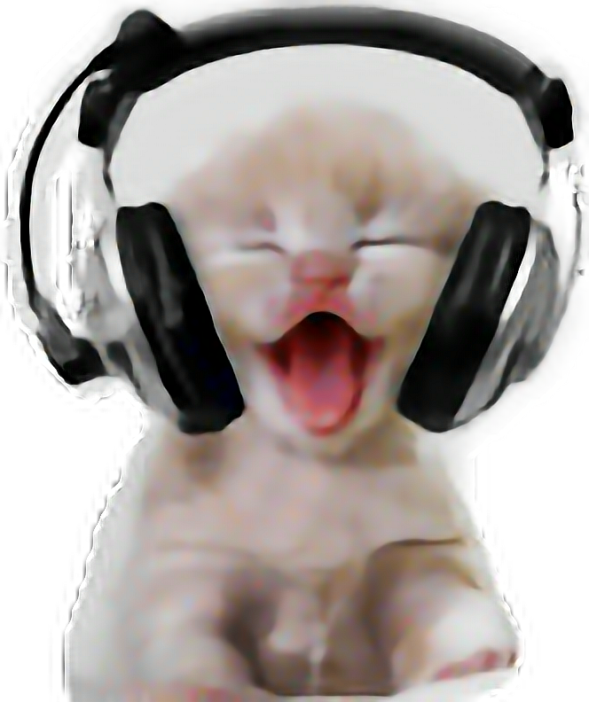 Laughing Catwith Headphones.png PNG