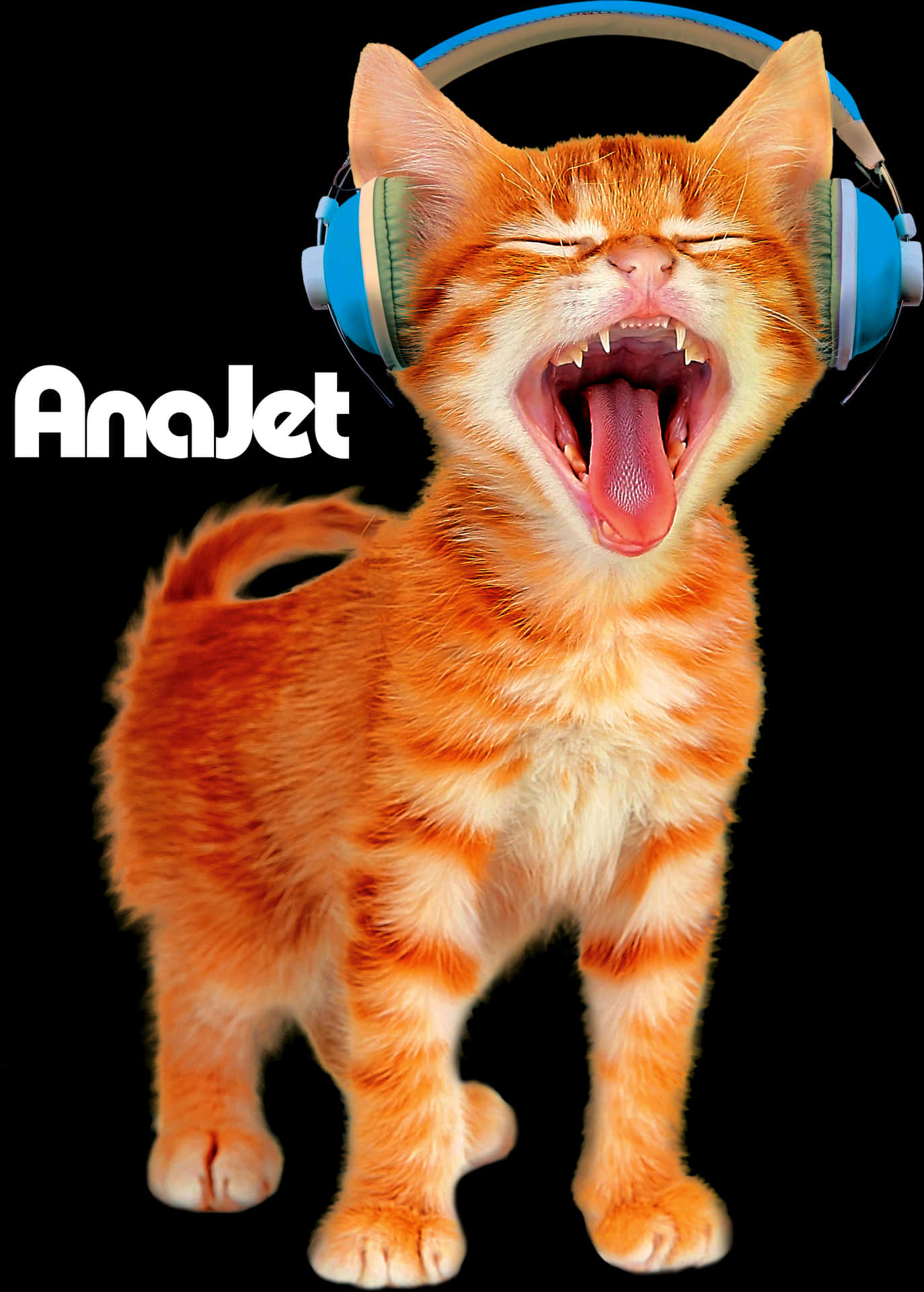 Laughing Orange Catwith Headphones PNG