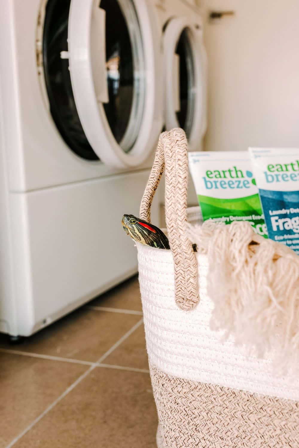 Earth Breeze Laundry Room Picture