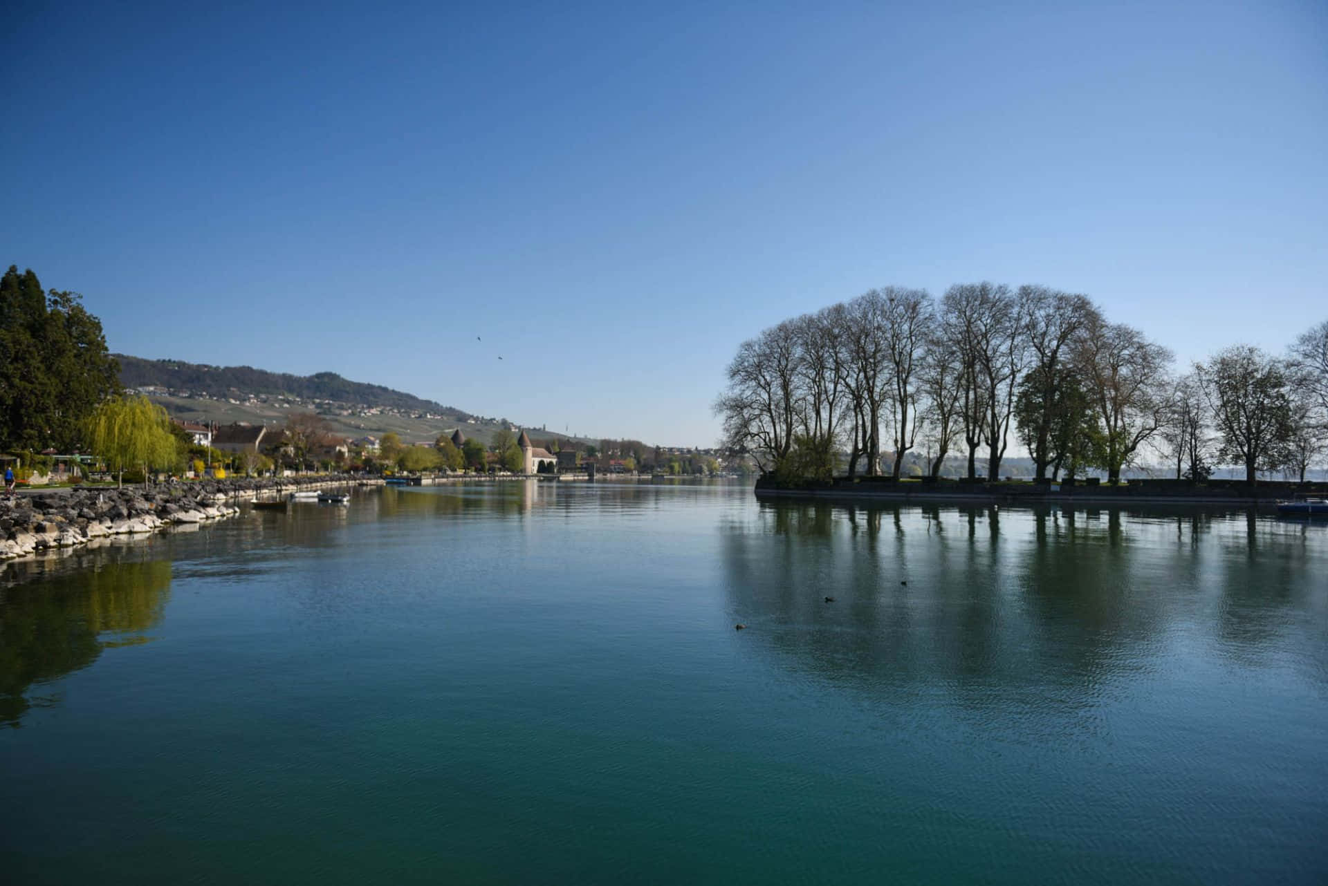 Pemandangan Tenang Danau Jenewa Dari Lausanne, Swiss Wallpaper