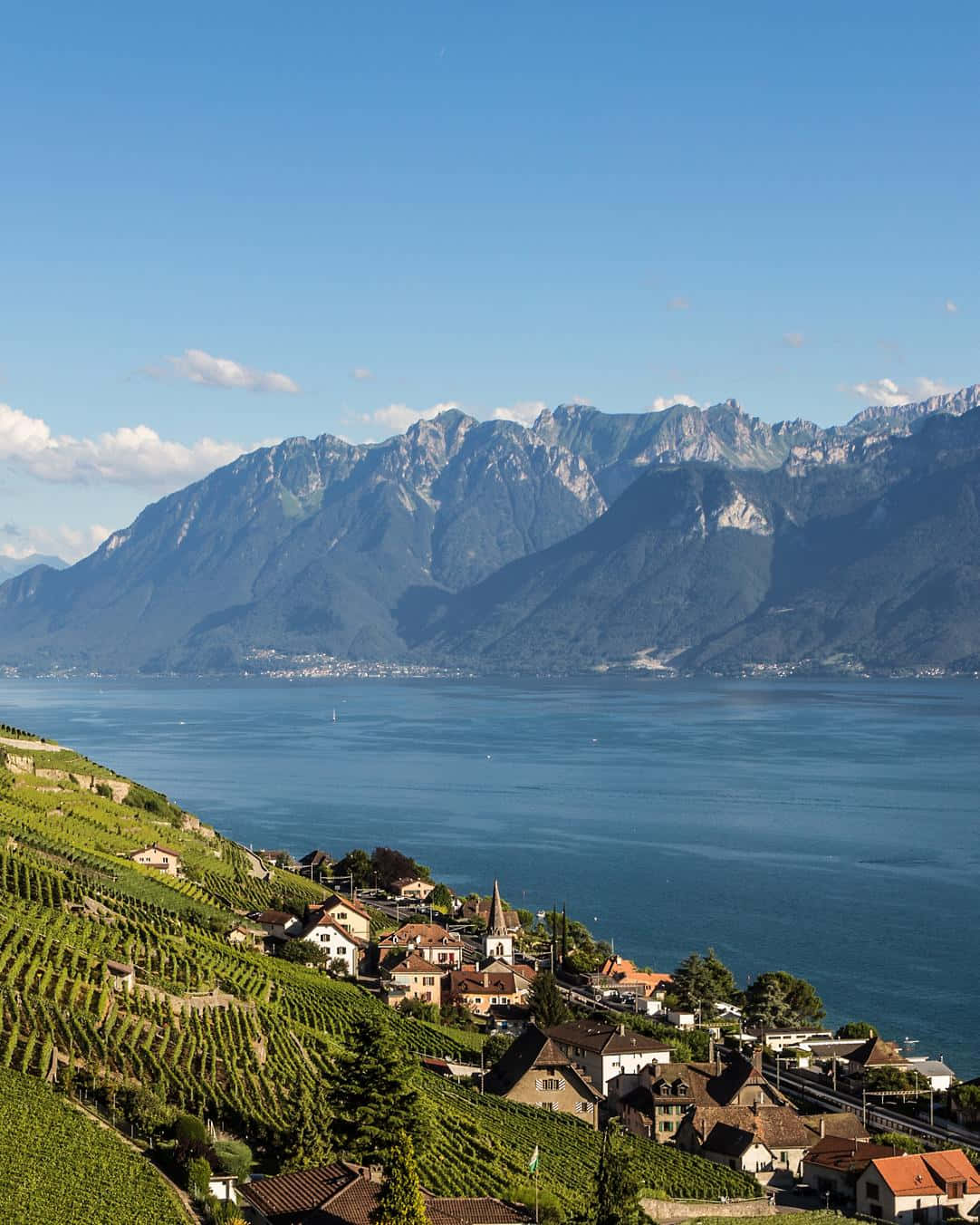 Lausanne Lake Geneva Vineyards Wallpaper
