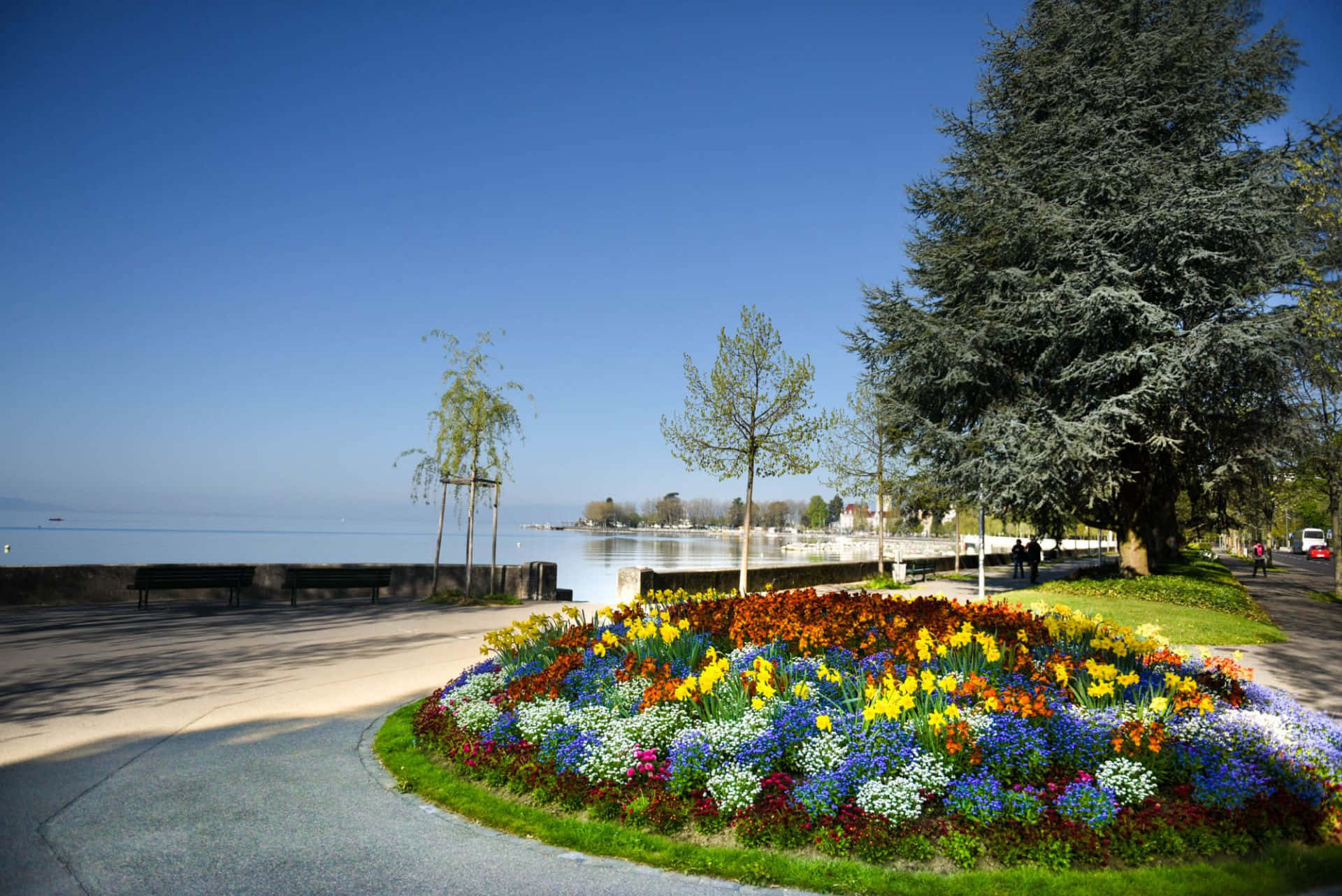 Lausanne Lakefront Floral Display Wallpaper
