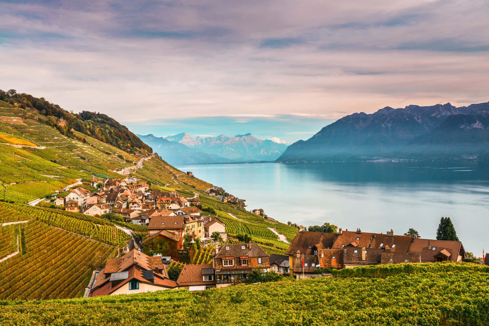 Lavaux Vineyard Terraces Lake Geneva Wallpaper