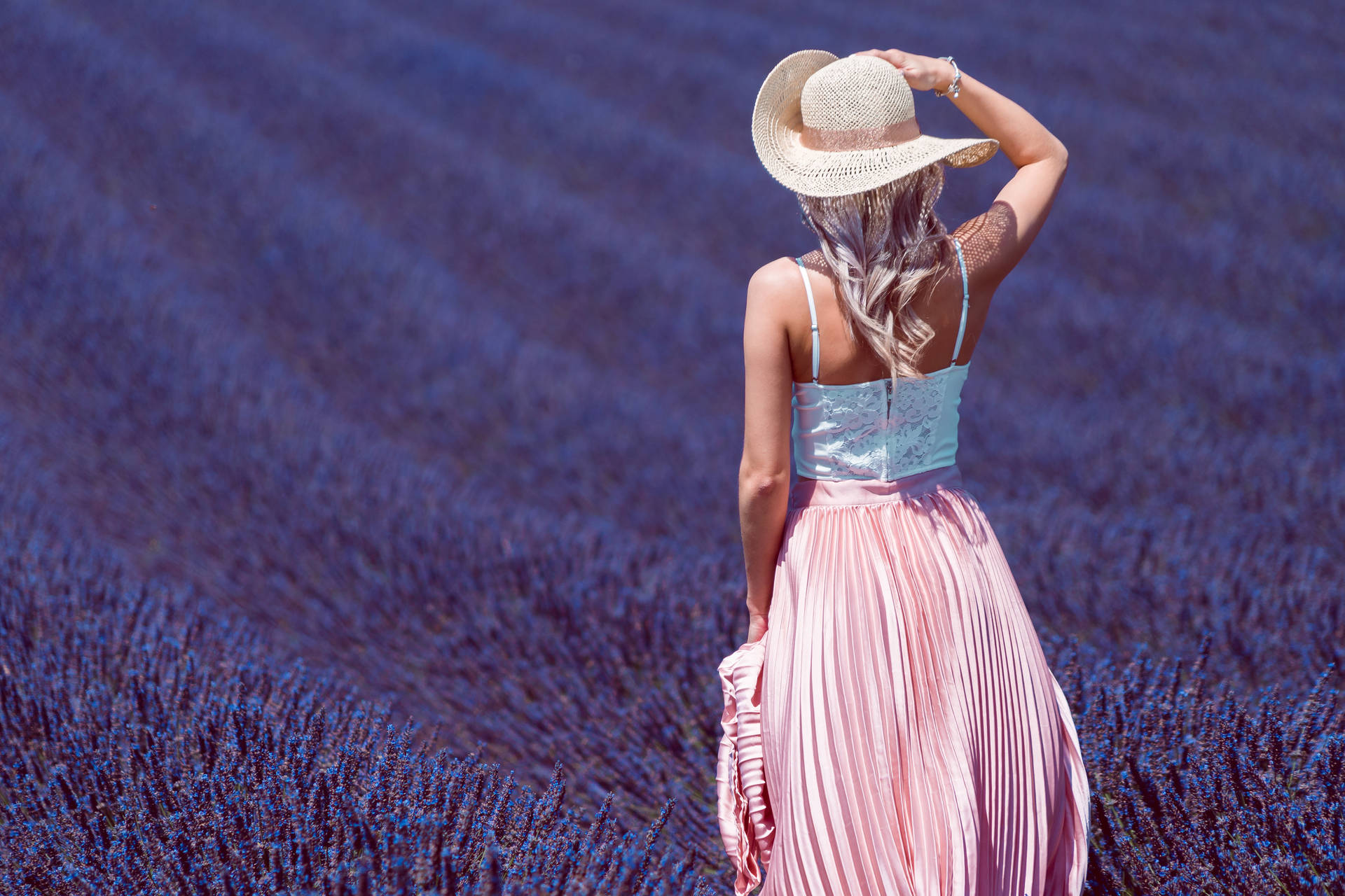 Lavender Aesthetic And Lady In The Field Wallpaper