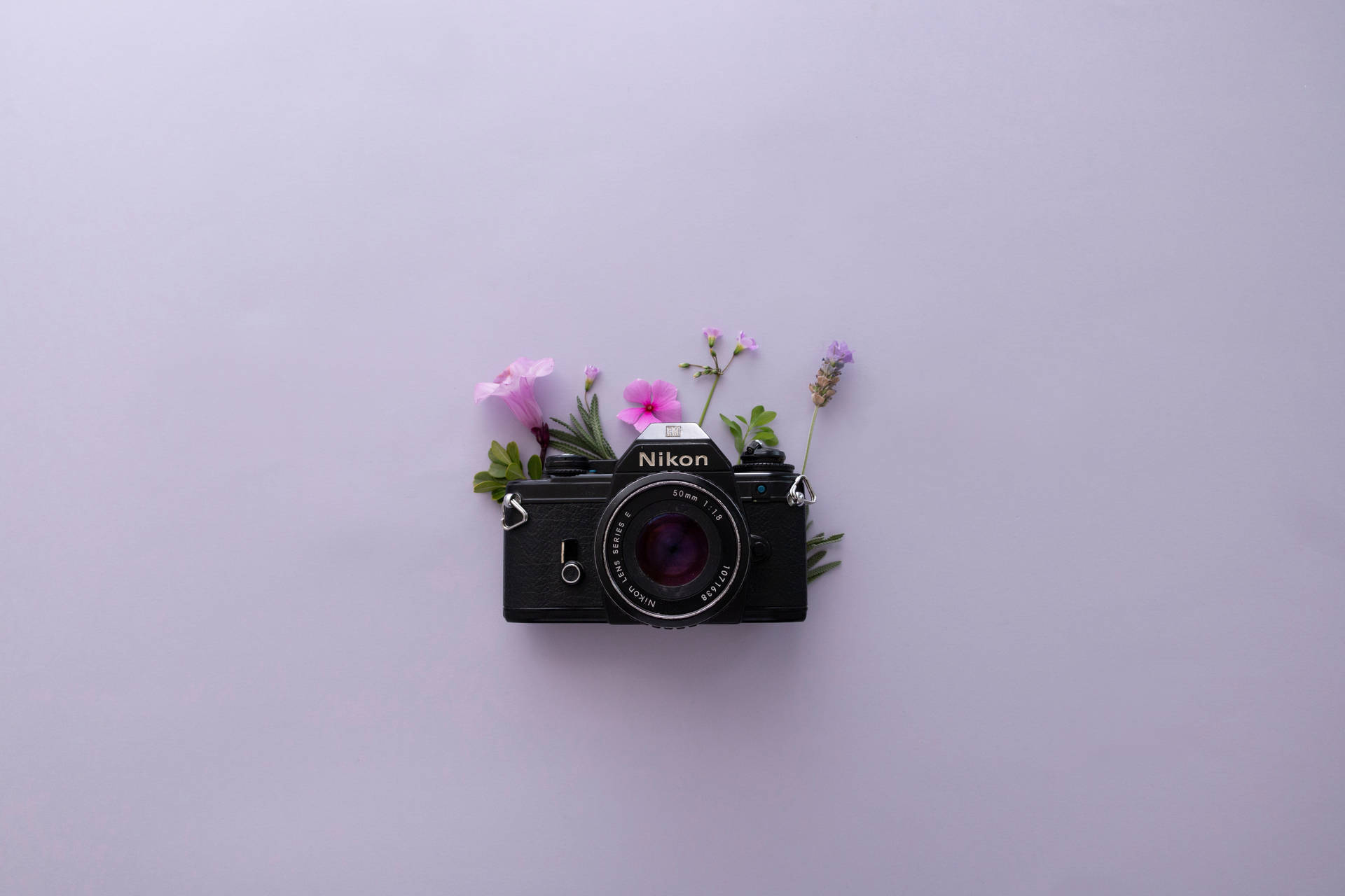 Lavender Aesthetic And Nikon Camera Wallpaper