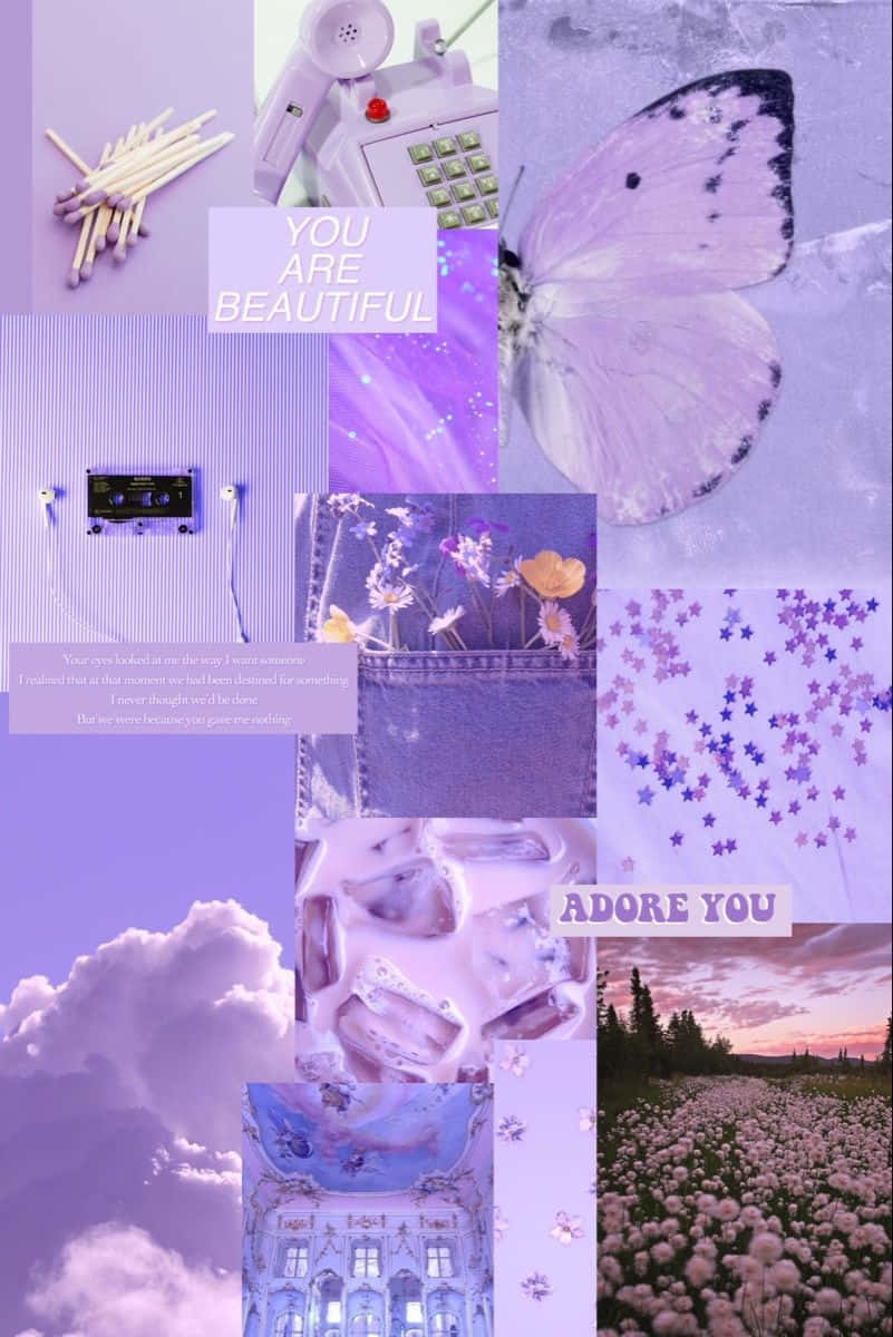 Lavender_ Aesthetic_ Collage Wallpaper