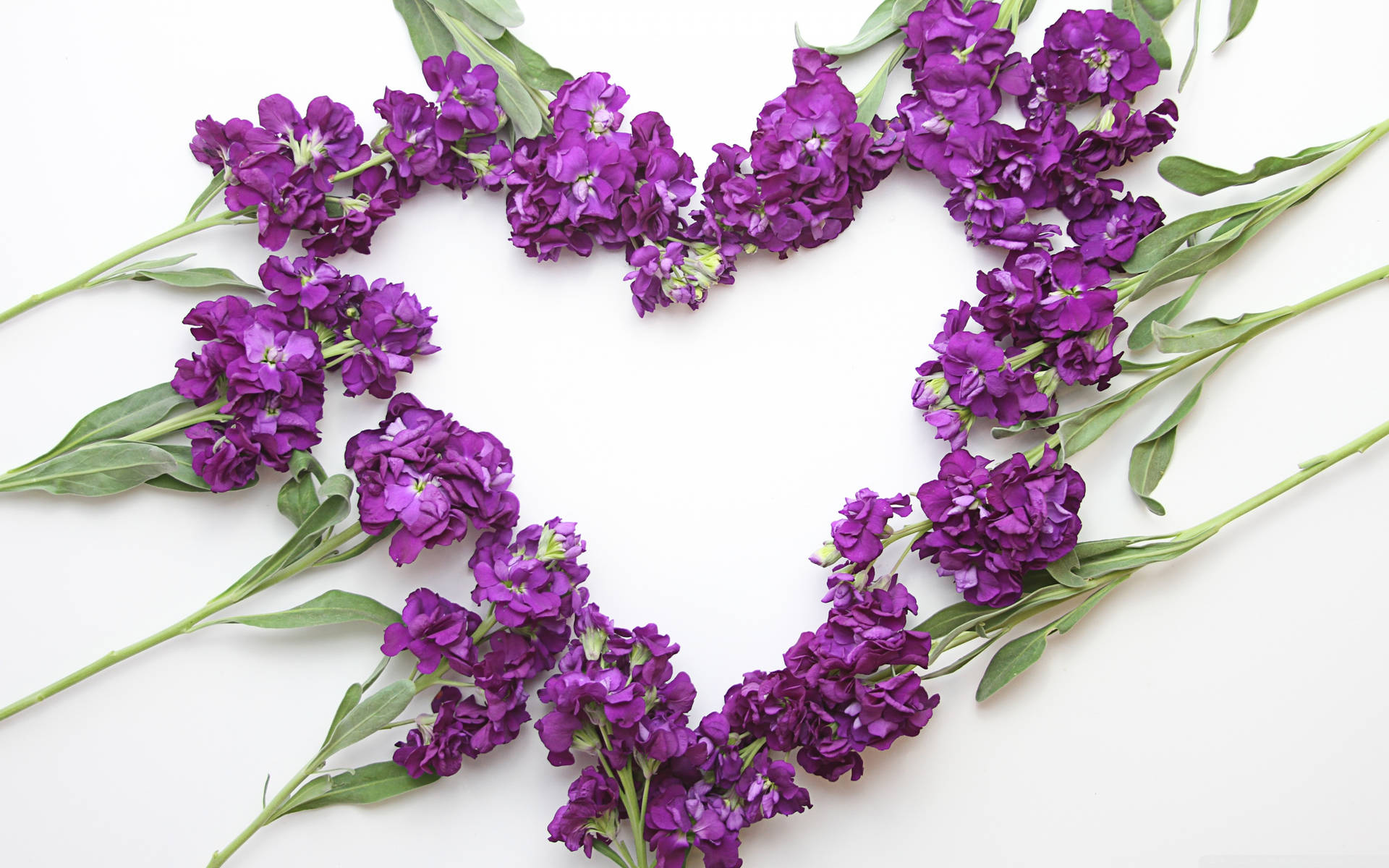 Lavender Aesthetic Flower Heart Wallpaper