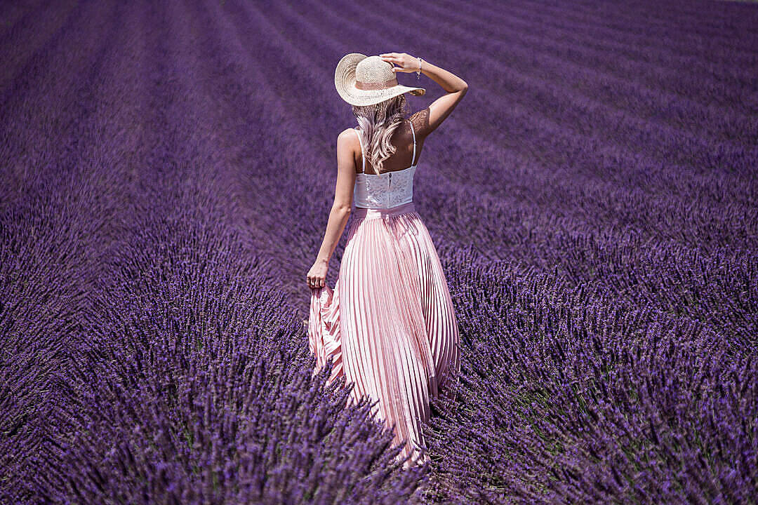 Lavender Aesthetic Woman In The Field Wallpaper
