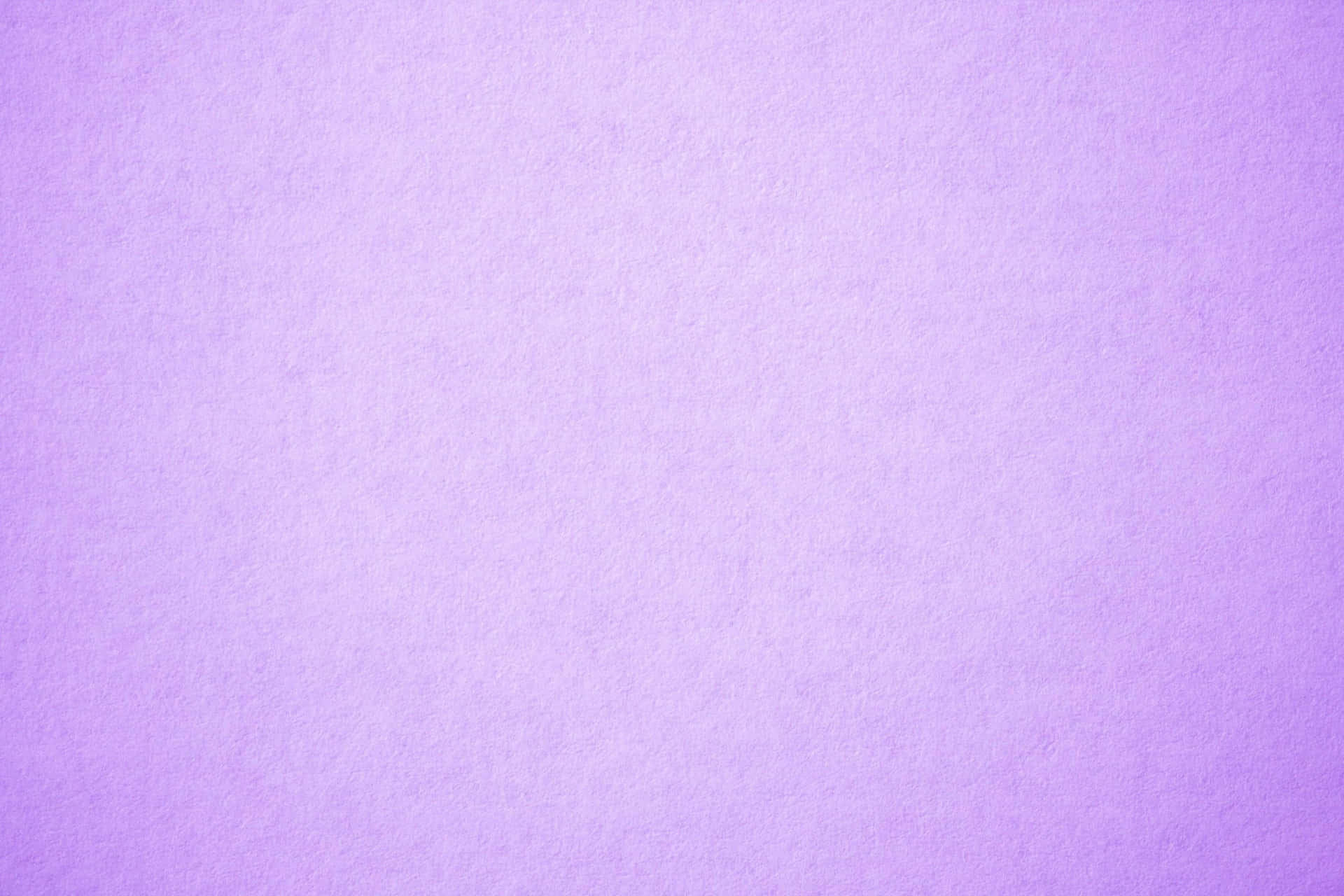 Lavendel Baggrund 3499 X 2333
