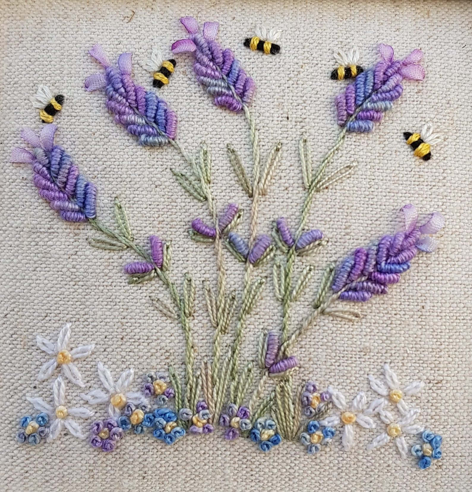 Field of beautiful purple lavender in Provence, France Wallpaper