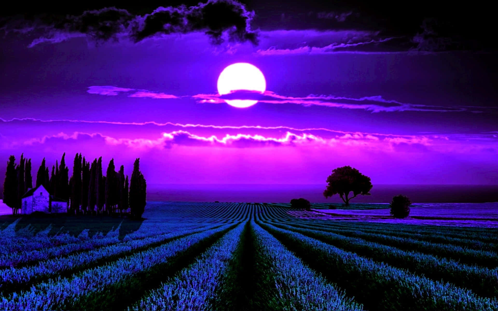Цветная ночь. Лунная ночь. Фиолетовая природа. Природа ночью. Ночной пейзаж.