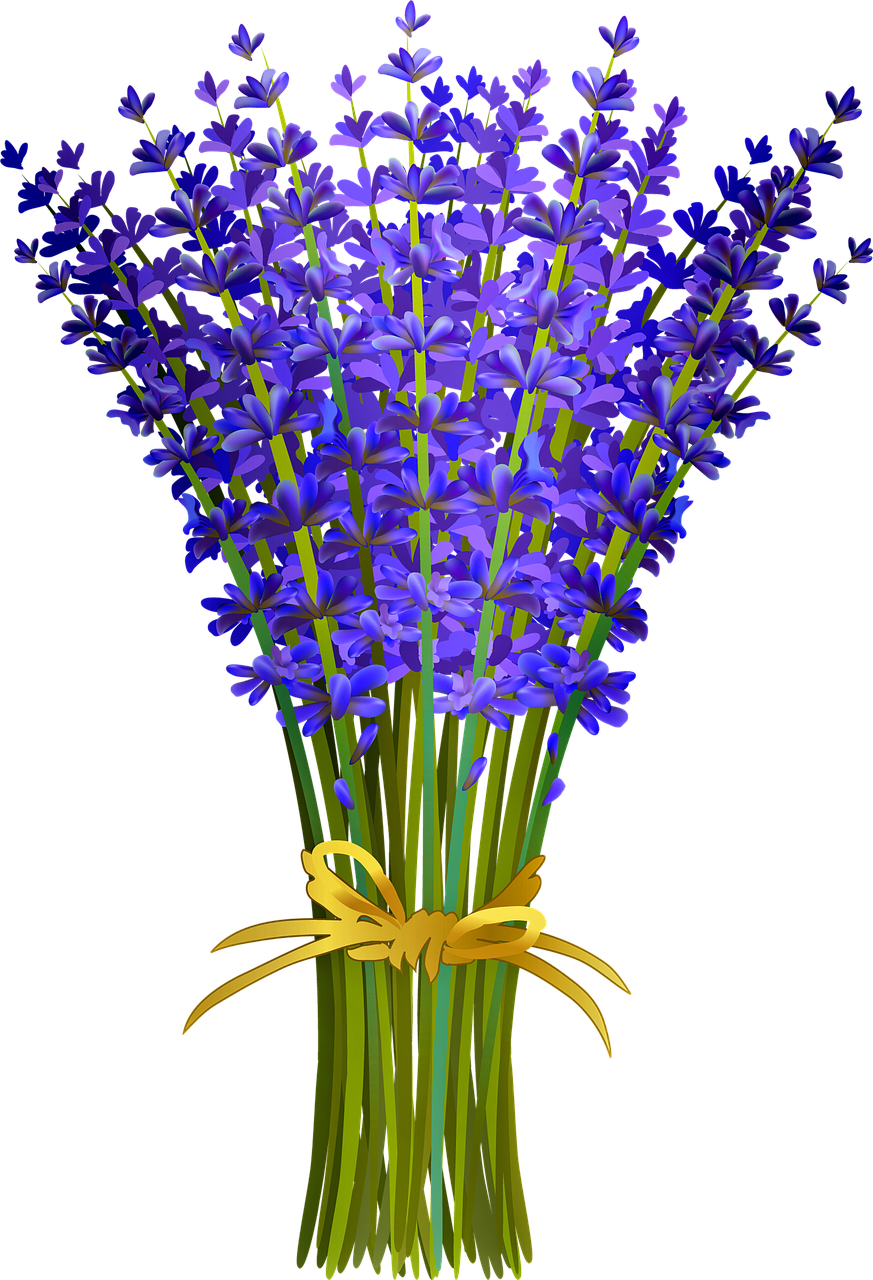 Lavender Bouquet Illustration PNG