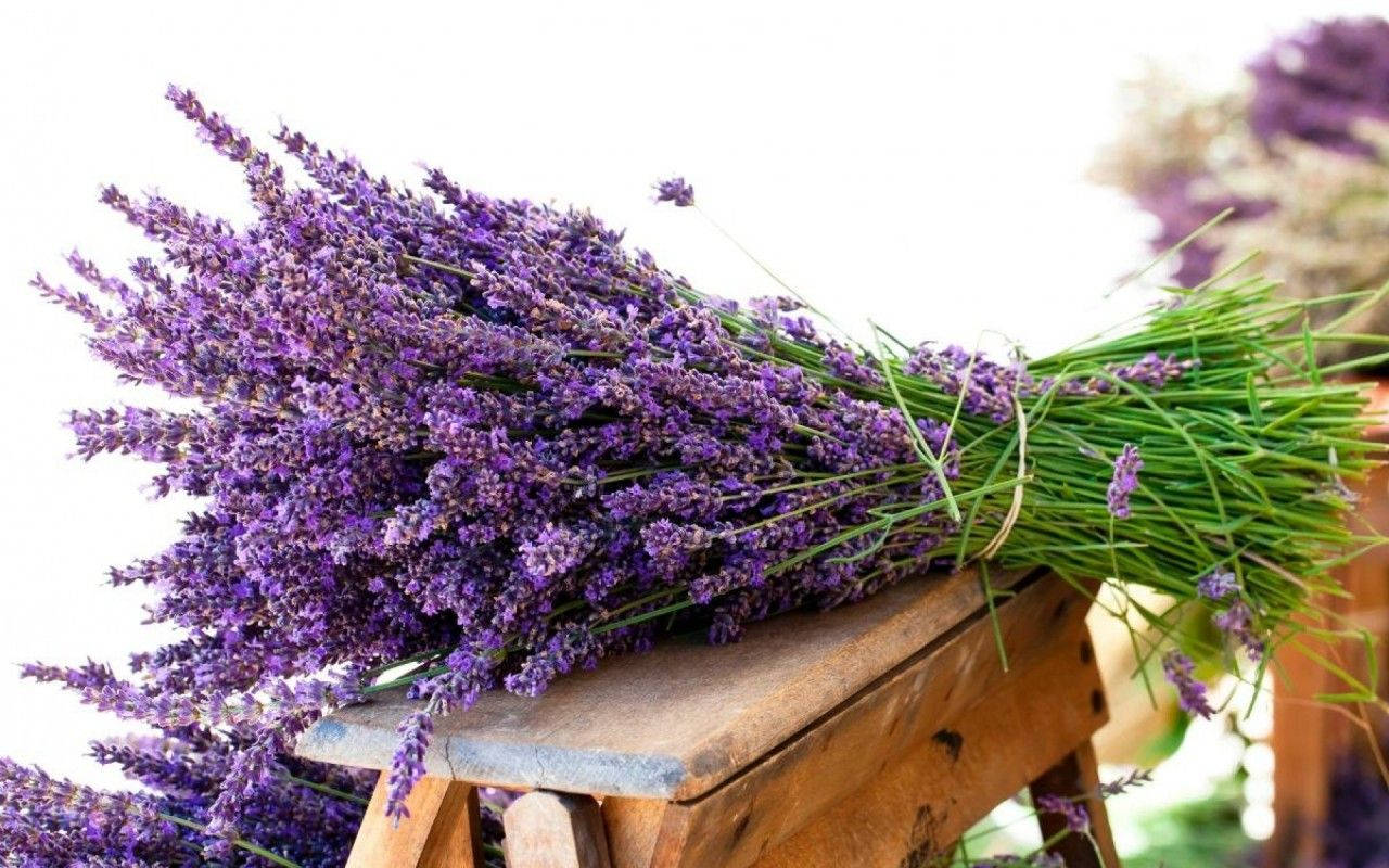En Lavendel Bouquet Fanger En Beroligende Aroma Wallpaper