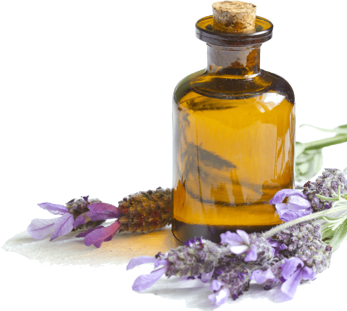Lavender Essential Oiland Flowers.png PNG