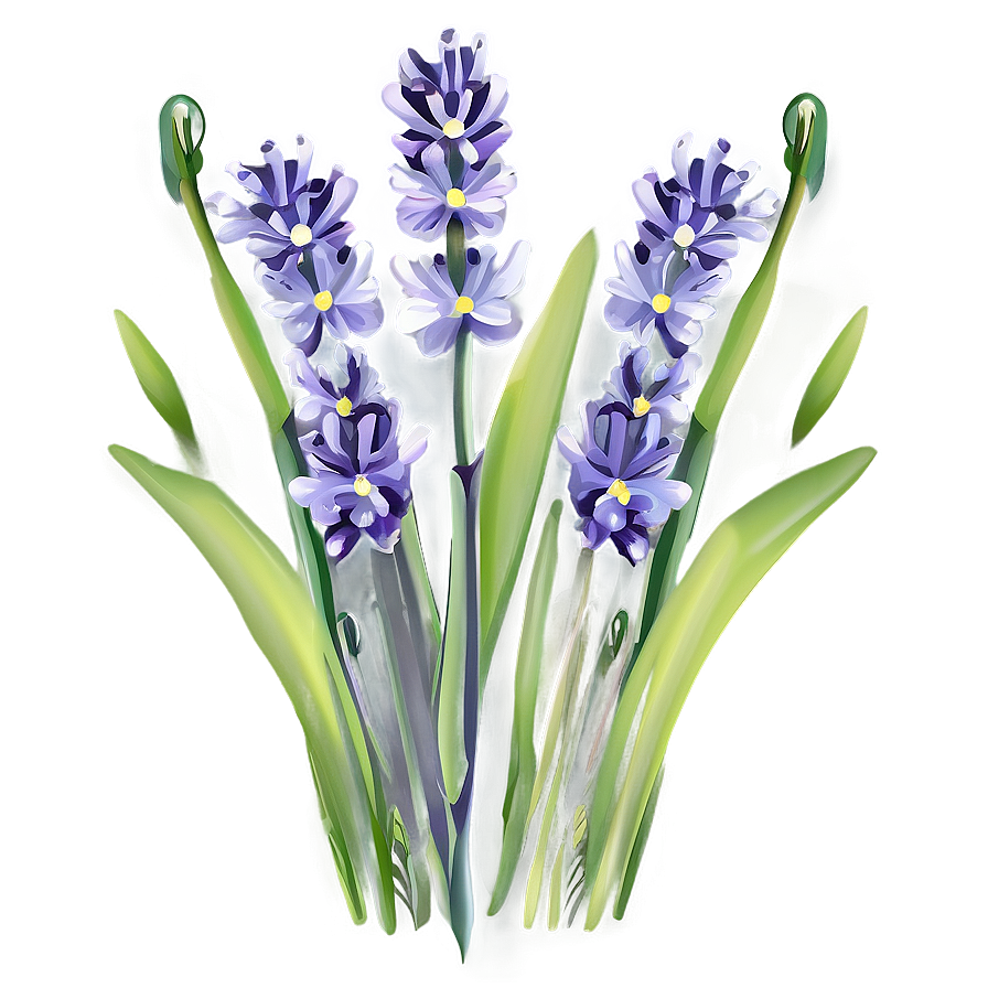 Lavender Field Flower Png 35 PNG