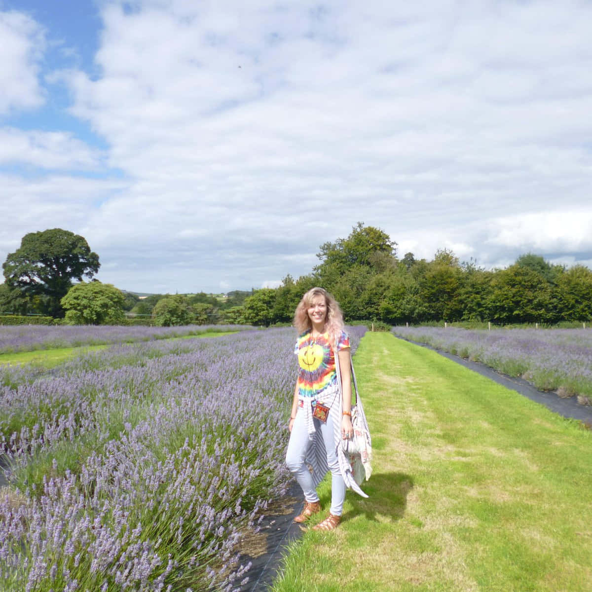 Capturing the Beauty of the Lavender Field