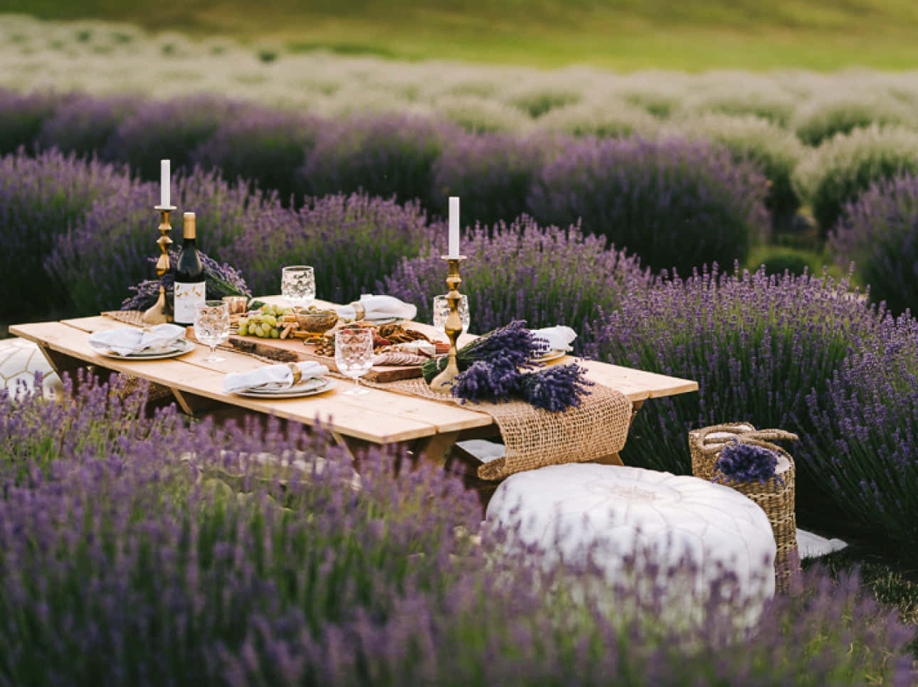Let your stress melt away into a calming lavender-filled day