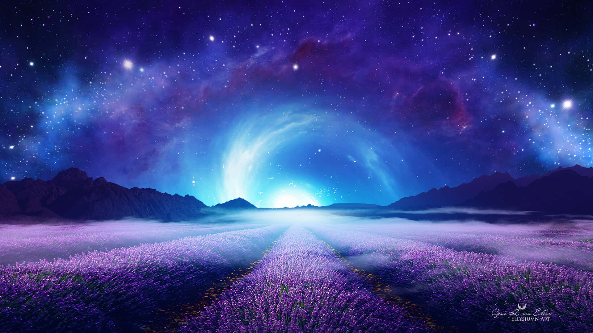 Take a moment to enjoy the beauty of the lavender fields. Wallpaper