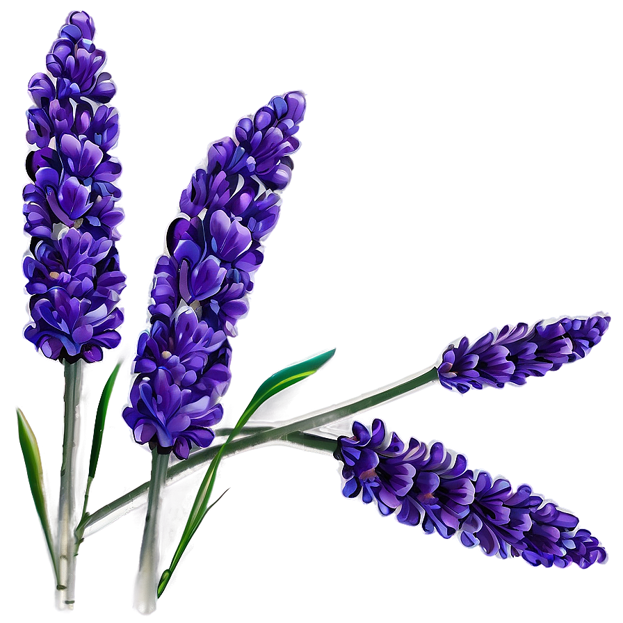 Lavender Floral Design Png 76 PNG