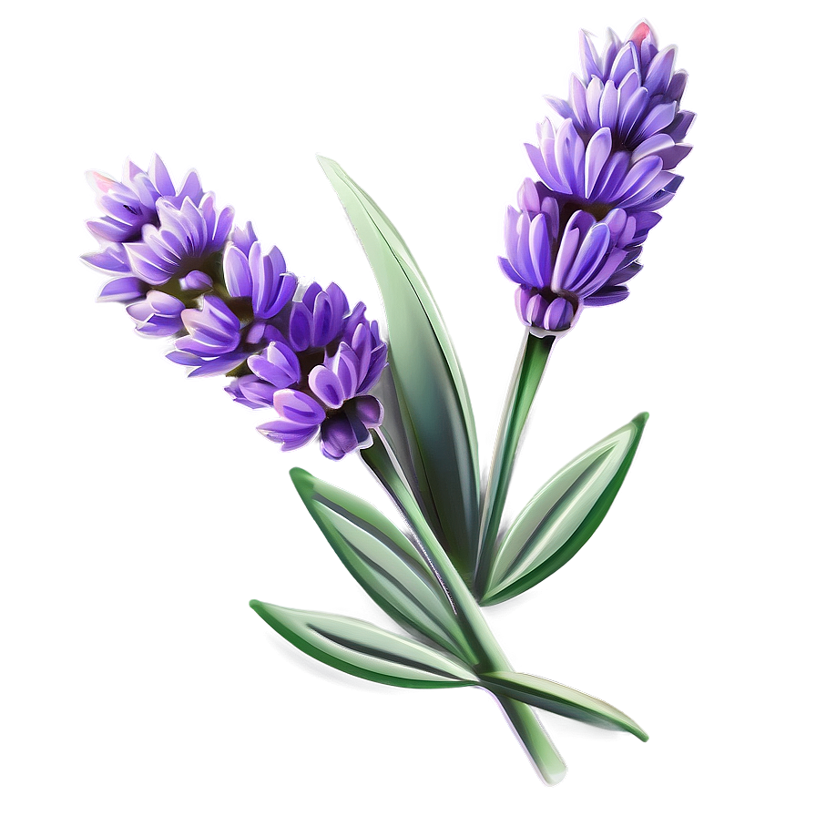 Lavender Flower B PNG