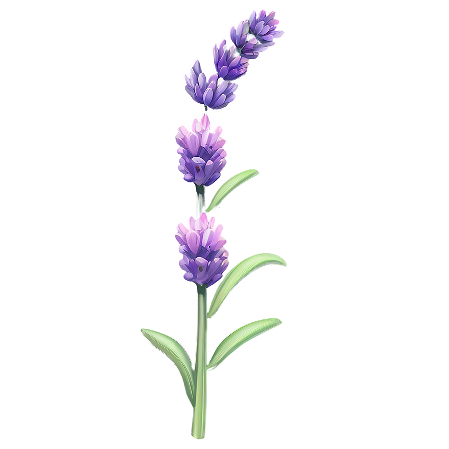 Lavender Flower Branch Png 79 PNG