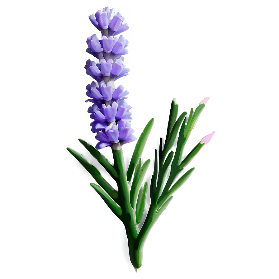 Lavender Flower Branch Png Aoq4 PNG