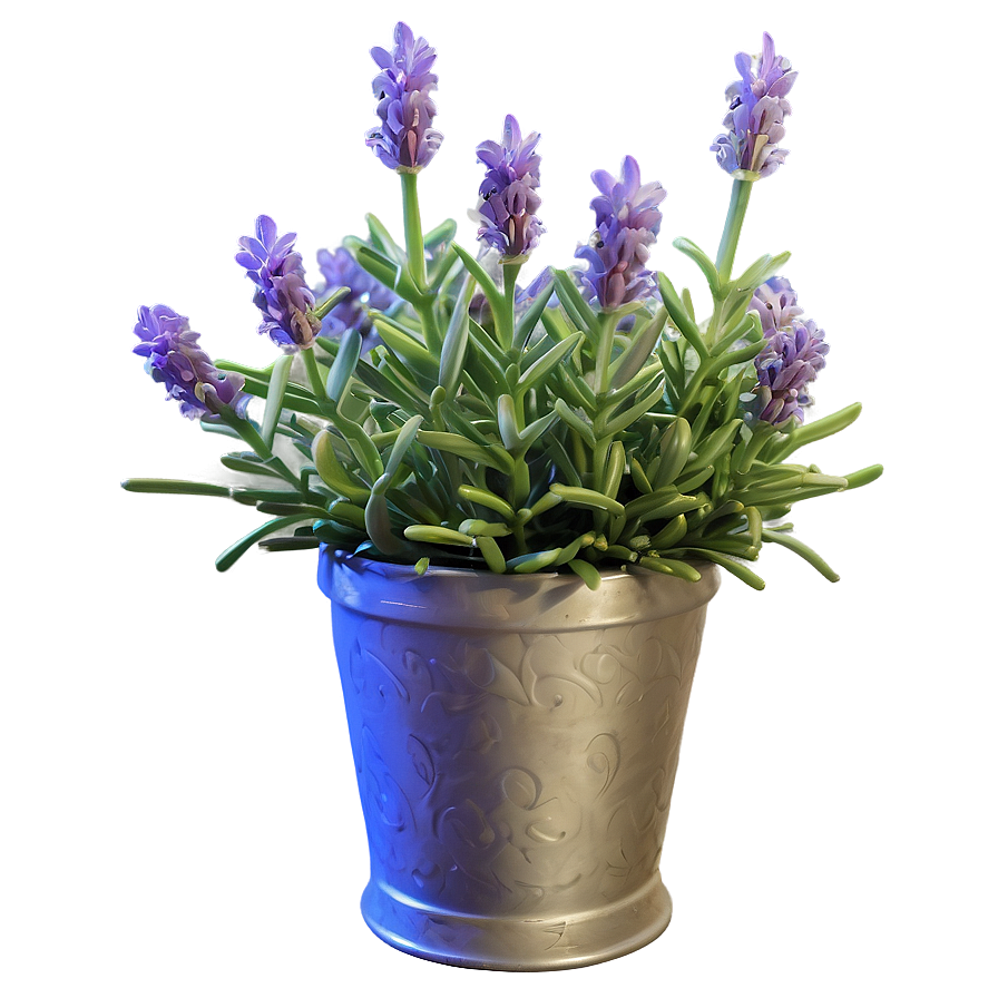 Lavender Flower Bush Png 06122024 PNG