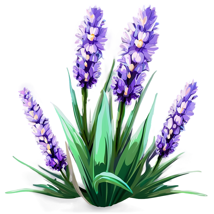 Lavender Flower Bush Png 60 PNG