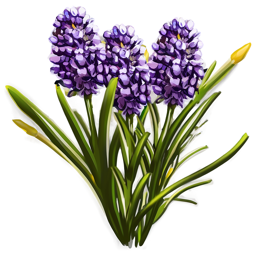 Lavender Flower Bush Png Wih PNG