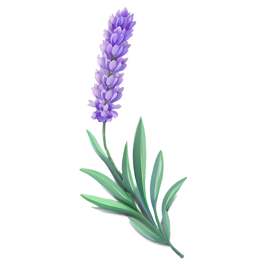 Lavender Flower Pattern Png 06132024 PNG