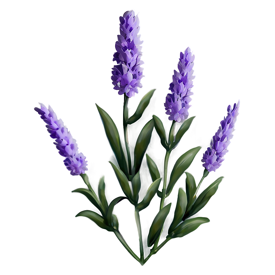 Lavender Flower Pattern Png 18 PNG