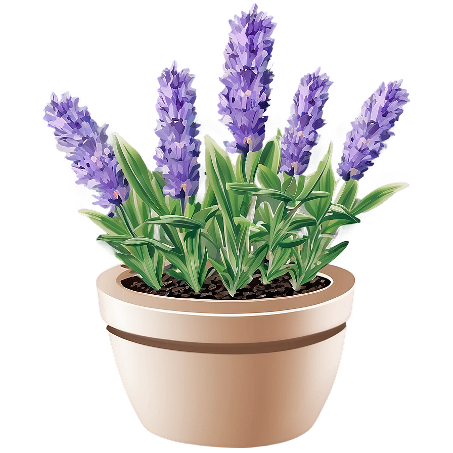 Lavender Herb Garden Png 06132024 PNG