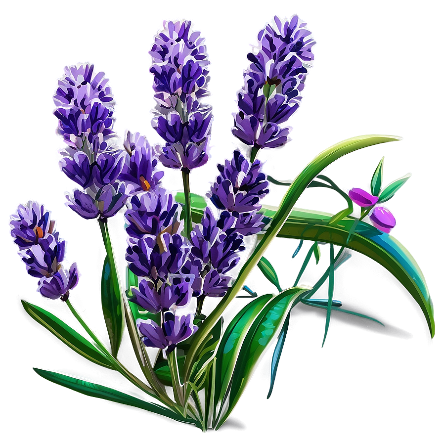Lavender Herb Png Rit46 PNG