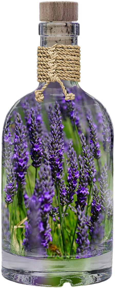 Lavender In Glass Bottle PNG