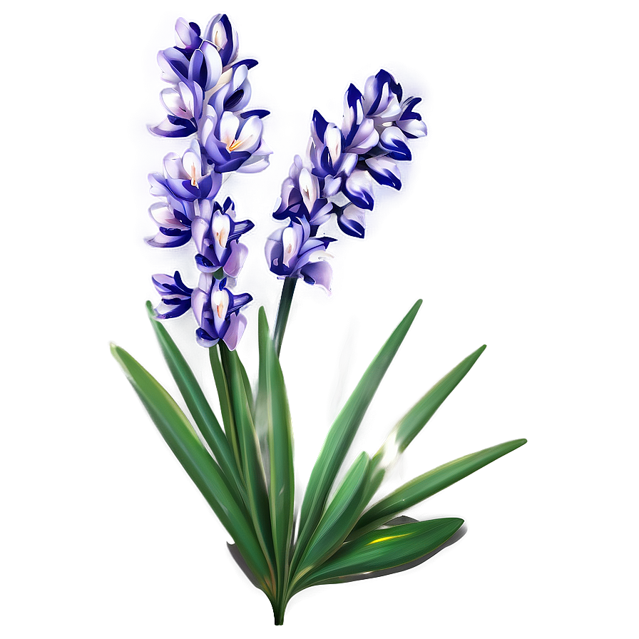 Download Lavender Lily Png 05242024 | Wallpapers.com