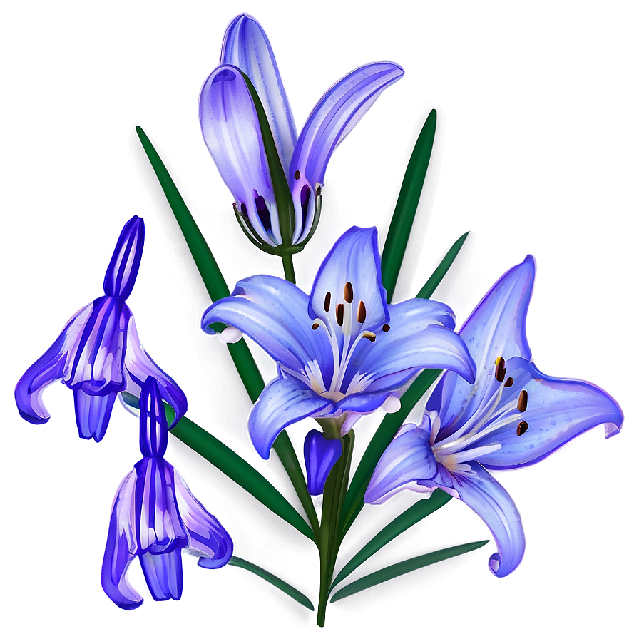 Download Lavender Lily Png 28 | Wallpapers.com