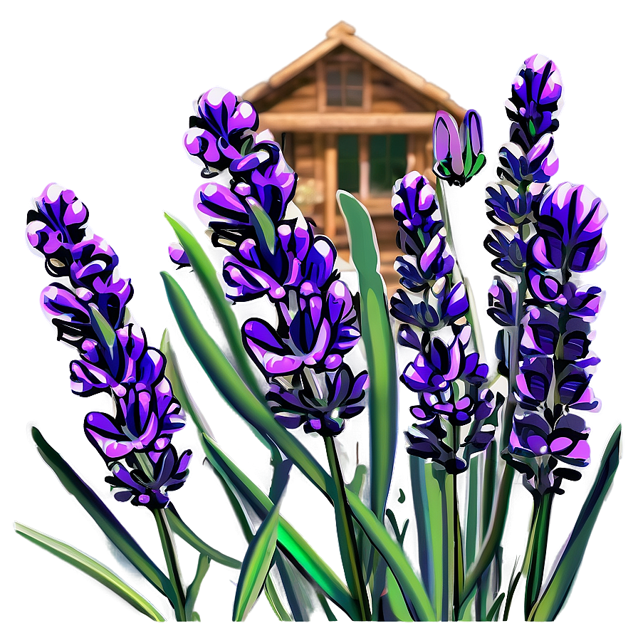 Lavender Nature Scene Png 06132024 PNG