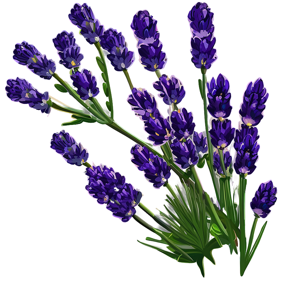 Lavender Nature Scene Png Bce70 PNG