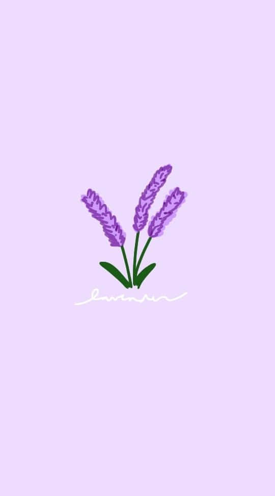 Lavender Pastel Purple Aesthetic Background 540 X 974 Background