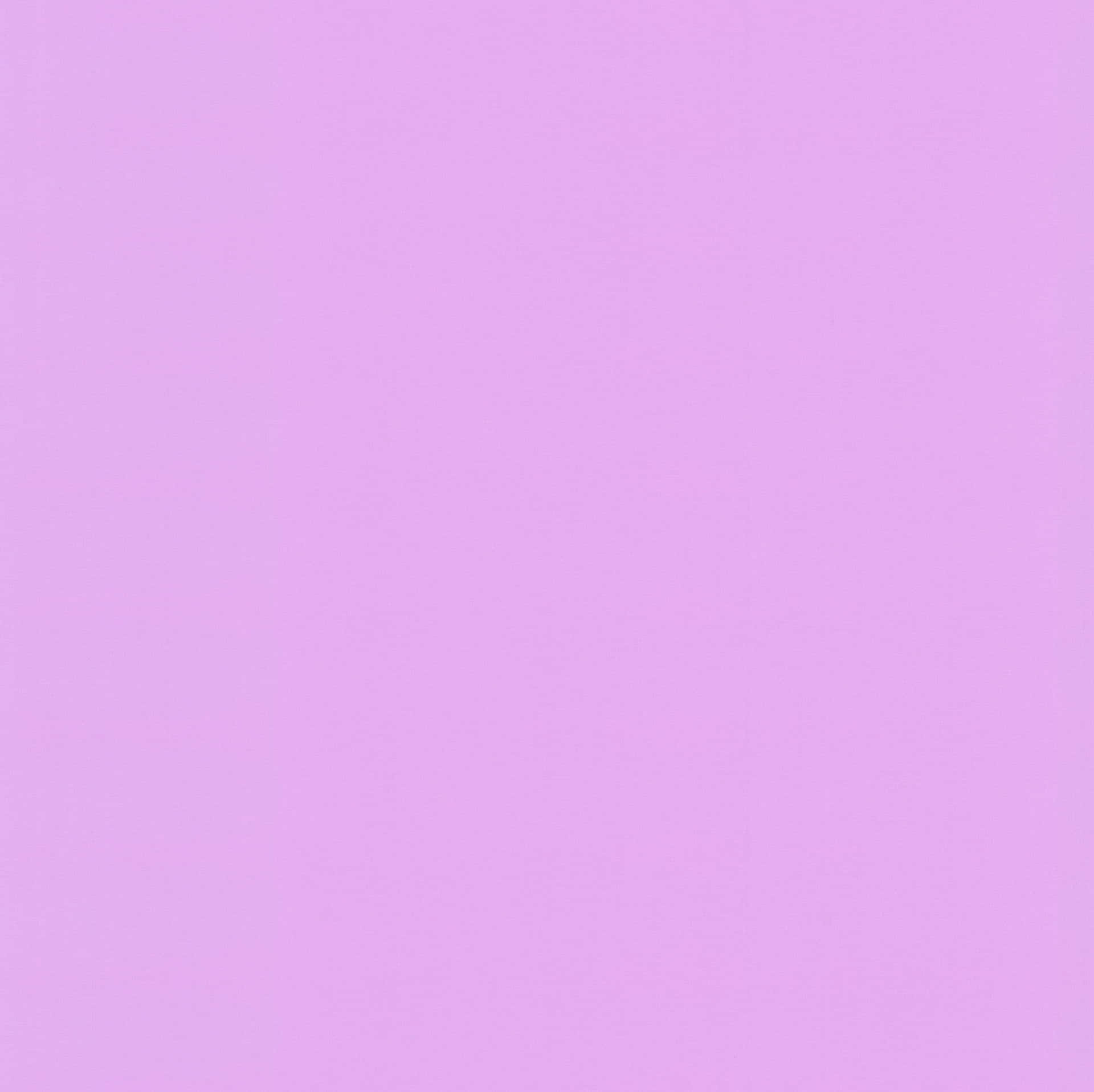 Basic Lavender Purple Color Wallpaper