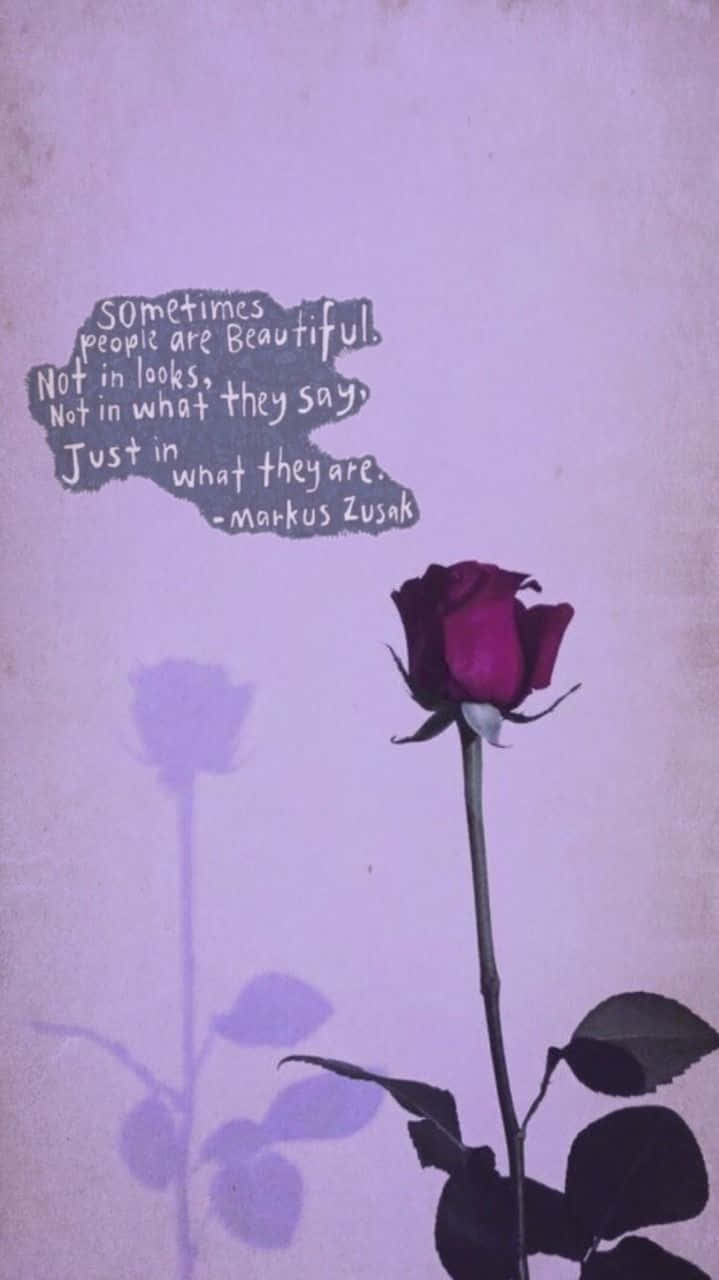 Lavendel lilla rose med Markus Zusak citat: 